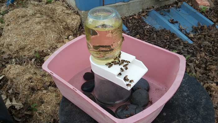 Honey Bee Syrup Feeder
